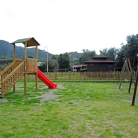 Dei 10 Colori 2*